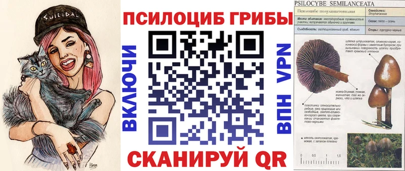 shop наркотические препараты  Буй  Галлюциногенные грибы Cubensis 