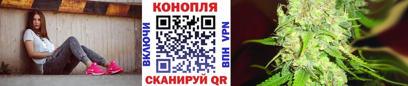 Канабис ГИДРОПОН Буй